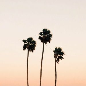 Meet your Posher, Giselle